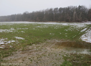 Wasser in den Senken