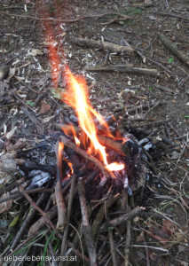 Survival Training Mai 2013 Feuer