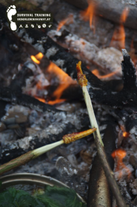 Survival Training Vorarlberg Nahrung