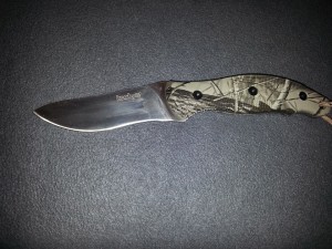 Kershaw Echo