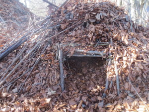 A-Frame Shelter Survival