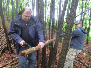 Bushcraft Basics