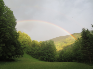 Regenbogen