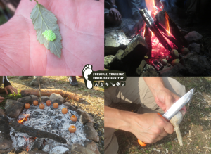 Bushcraft Training 2014