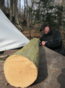 Survival Bogenbau Holzauswahl